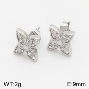 Stainless Steel Earrings  5E4001391bhva-669
