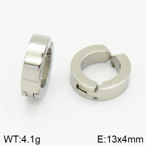 Stainless Steel Earrings  2E2001279ablb-256