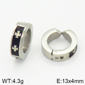 Stainless Steel Earrings  2E2001285vbmb-256