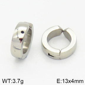 Stainless Steel Earrings  2E2001287ablb-256