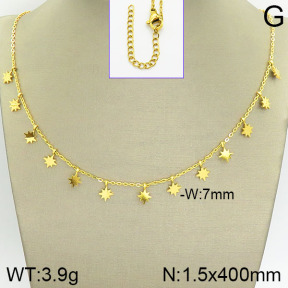 Stainless Steel Necklace  2N2001991abol-418
