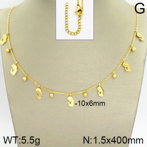 Stainless Steel Necklace  2N2001993abol-418