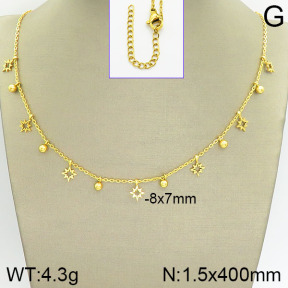 Stainless Steel Necklace  2N2001997abol-418