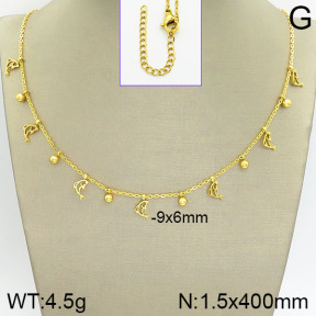 Stainless Steel Necklace  2N2001998abol-418