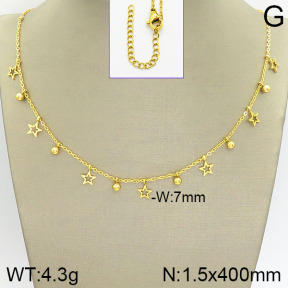 Stainless Steel Necklace  2N2001999abol-418