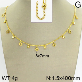 Stainless Steel Necklace  2N4001326abol-418