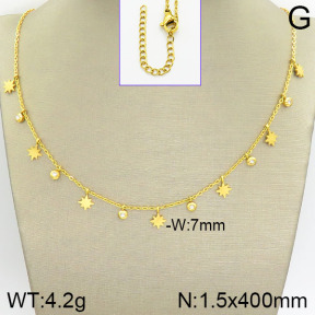 Stainless Steel Necklace  2N4001331abol-418