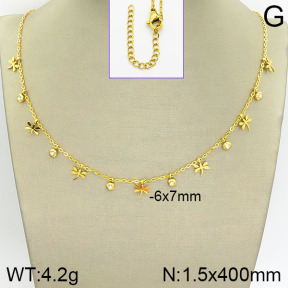 Stainless Steel Necklace  2N4001340abol-418