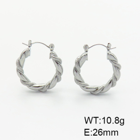 Stainless Steel Earrings  6E2006094bhva-G037
