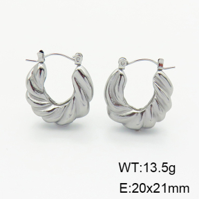 Stainless Steel Earrings  6E2006100bhva-G037