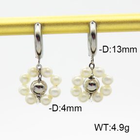 Stainless Steel Earrings  Shell Beads  6E3002465bhva-908