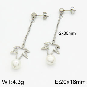 Stainless Steel Earrings  2E3001062ablb-610