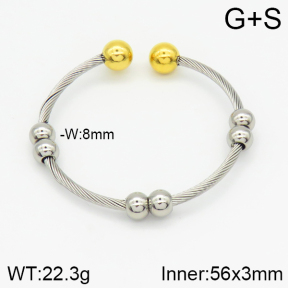 Stainless Steel Bangle  2BA200365bbml-387