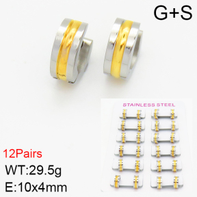 Stainless Steel Earrings  2E2001346alka-387
