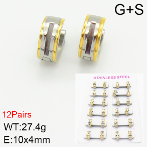 Stainless Steel Earrings  2E2001347alka-387