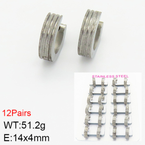 Stainless Steel Earrings  2E2001349akja-387