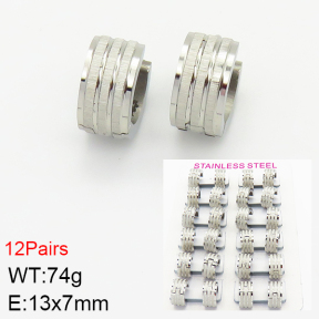 Stainless Steel Earrings  2E2001350akoa-387