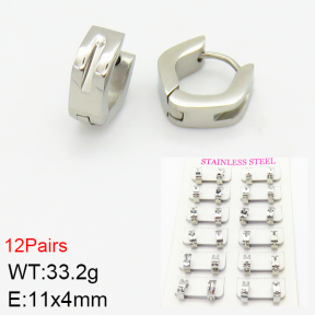 Stainless Steel Earrings  2E2001351akia-387