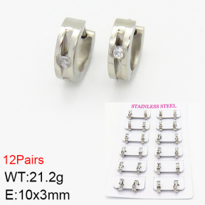 Stainless Steel Earrings  2E4001873akoa-387