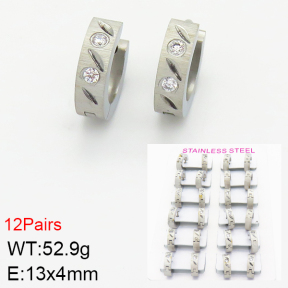 Stainless Steel Earrings  2E4001876amaa-387