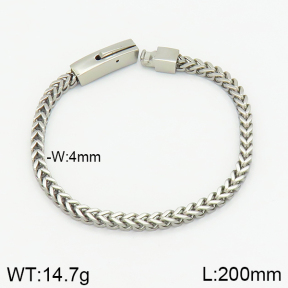 Stainless Steel Bracelet  2B2001676vhmv-214