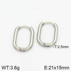 Stainless Steel Earrings  2E2001358avja-214