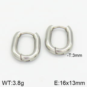 Stainless Steel Earrings  2E2001363avja-214