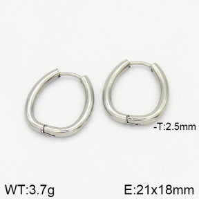 Stainless Steel Earrings  2E2001364avja-214
