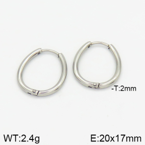 Stainless Steel Earrings  2E2001365avja-214