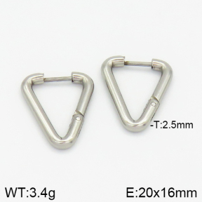 Stainless Steel Earrings  2E2001368avja-214