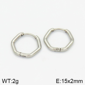 Stainless Steel Earrings  2E2001370avja-214