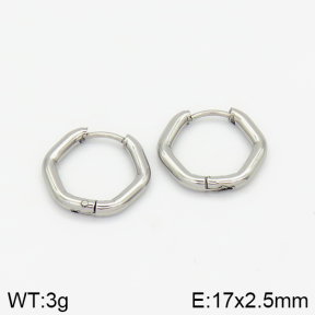 Stainless Steel Earrings  2E2001371avja-214
