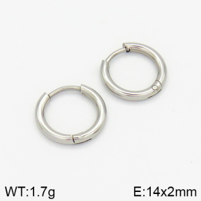 Stainless Steel Earrings  2E2001375vaia-214