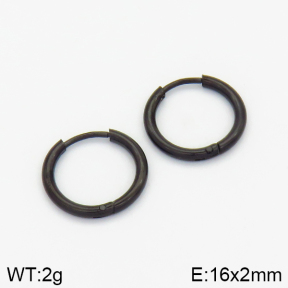 Stainless Steel Earrings  2E2001378vail-214