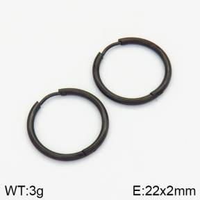 Stainless Steel Earrings  2E2001386vail-214