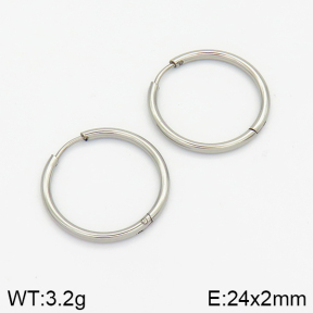 Stainless Steel Earrings  2E2001388vaia-214