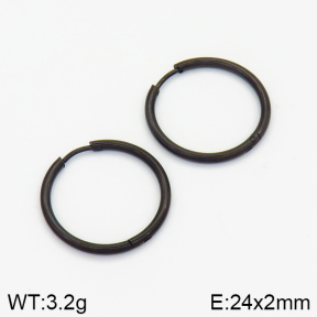 Stainless Steel Earrings  2E2001389vail-214