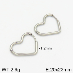 Stainless Steel Earrings  2E2001393avja-214