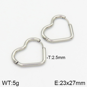 Stainless Steel Earrings  2E2001395avja-214