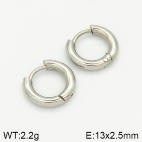 Stainless Steel Earrings  2E2001398vaia-214