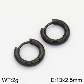 Stainless Steel Earrings  2E2001399vail-214