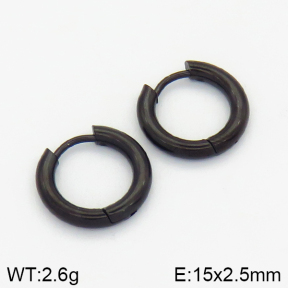Stainless Steel Earrings  2E2001402vail-214