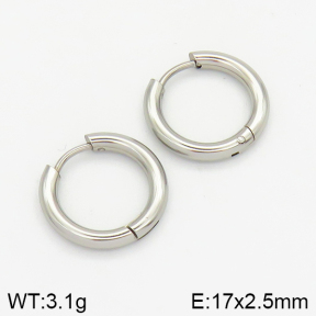 Stainless Steel Earrings  2E2001404vaia-214