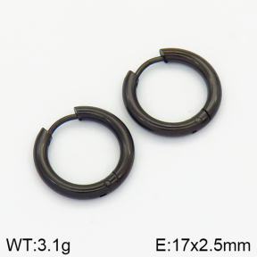 Stainless Steel Earrings  2E2001405vail-214