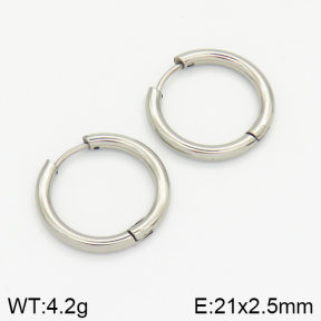 Stainless Steel Earrings  2E2001409vaia-214