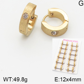 Stainless Steel Earrings  5E4001412aiov-689