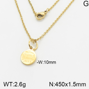 Stainless Steel Necklace  5N2001420bbml-742