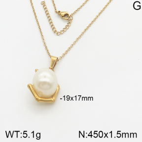 Stainless Steel Necklace  5N3000323ablb-355
