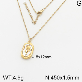 Stainless Steel Necklace  5N3000324bbml-355