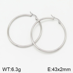 Stainless Steel Earrings  5E2001961aahi-423